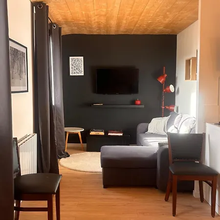 Renove T2 Mezzanine Formigueres, 10 Pers, Proche Commerces - Fr-1-758-46 *